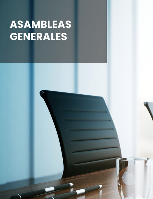 Business,Sales,Consultant,Discussing,In,Data,Documents,At,Modern,Office. Business sales consultant discussing in data documents at modern office.