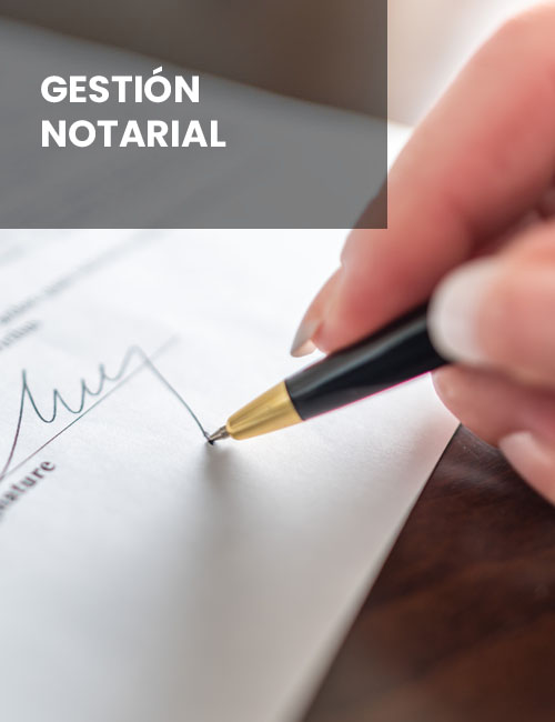 Business,Sales,Consultant,Discussing,In,Data,Documents,At,Modern,Office. Business sales consultant discussing in data documents at modern office.