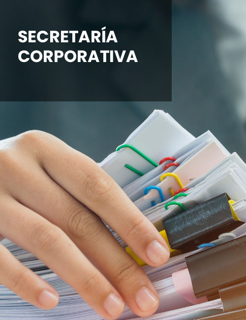 Business,Sales,Consultant,Discussing,In,Data,Documents,At,Modern,Office. Business sales consultant discussing in data documents at modern office.