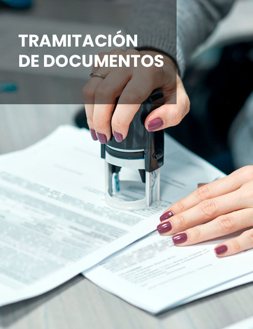 Business,Sales,Consultant,Discussing,In,Data,Documents,At,Modern,Office. Business sales consultant discussing in data documents at modern office.